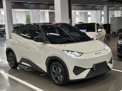 BYD Seagull 2025 Smart Drive 305km Vitality Edition - ფოტო 3