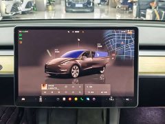 Tesla Model Y 2022 Facelift Rear-Wheel Drive - ფოტო 11