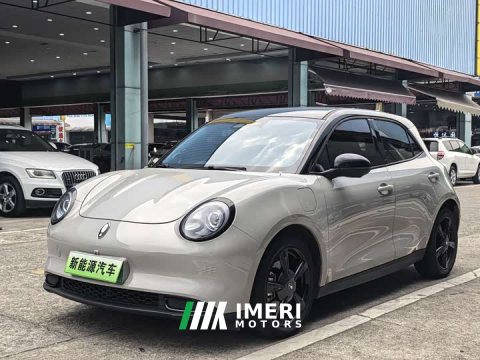 2024 ORA Good Cat 401km Deluxe 135kW - ავტომობილი ჩინეთიდან