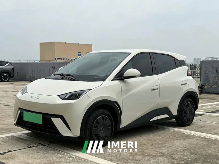 BYD Seagull Glory Edition 305km Vitality Version - ავტომობილი ჩინეთიდან