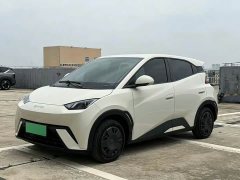 BYD Seagull Glory Edition 305km Vitality Version - ფოტო 1