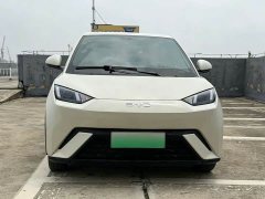 BYD Seagull Glory Edition 305km Vitality Version - ფოტო 2