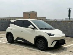 BYD Seagull Glory Edition 305km Vitality Version - ფოტო 3