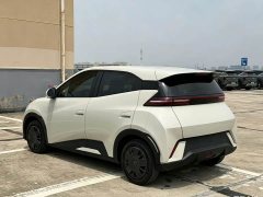 BYD Seagull Glory Edition 305km Vitality Version - ფოტო 5