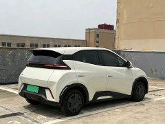 BYD Seagull Glory Edition 305km Vitality Version - ფოტო 6