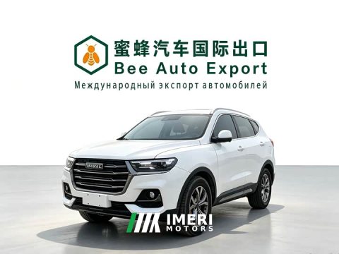 2022 Haval H6 2021 National Trend 1.5T Automatic Champion Edition - ავტომობილი ჩინეთიდან
