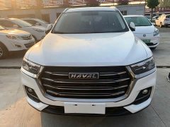 Haval H6 2021 National Trend 1.5T Automatic Champion Edition - ფოტო 2
