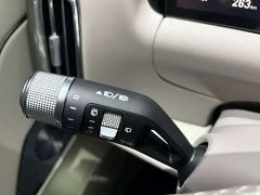 Geely Galaxy M9 230km Two-Wheel Drive Explorer Edition - ფოტო 13