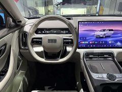 Geely Galaxy M9 230km Two-Wheel Drive Explorer Edition - ფოტო 15