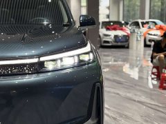 Geely Galaxy M9 230km Two-Wheel Drive Explorer Edition - ფოტო 5