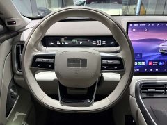 Geely Galaxy M9 230km Two-Wheel Drive Explorer Edition - ფოტო 8