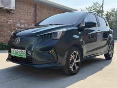Changan Benben E-Star 2020 Heartbeat Edition Ternary Lithium - ფოტო 1