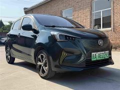 Changan Benben E-Star 2020 Heartbeat Edition Ternary Lithium - ფოტო 2