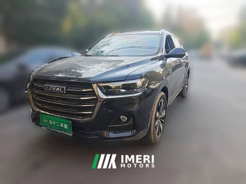 2021 Haval H6 National Trend Edition 1.5L GDIT Automatic Ultra-Luxury - ავტომობილი ჩინეთიდან