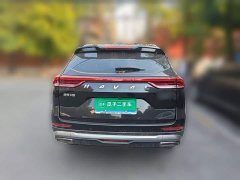 Haval H6 National Trend Edition 1.5L GDIT Automatic Ultra-Luxury - ფოტო 5