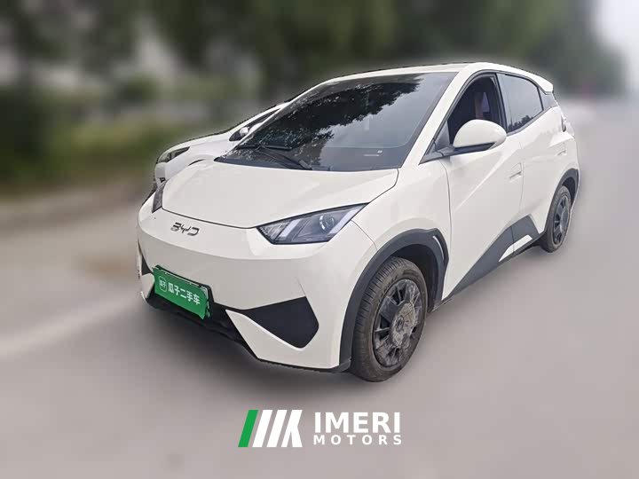 BYD Seagull Smart Drive 305km Vitality Edition - ავტომობილი ჩინეთიდან