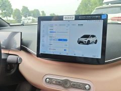 BYD Seagull Smart Drive 305km Vitality Edition - ფოტო 20