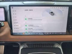 XPeng G9 2022 650 Performance Max - ფოტო 11