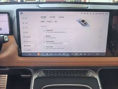 XPeng G9 2022 650 Performance Max - ფოტო 12