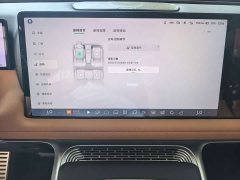 XPeng G9 2022 650 Performance Max - ფოტო 9