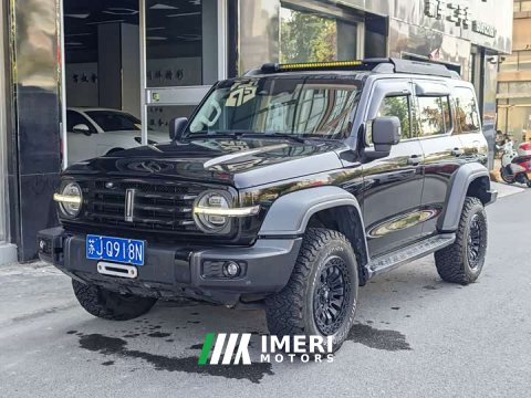 2021 Tank 300 Off-Road Edition 2.0T Conqueror - ავტომობილი ჩინეთიდან