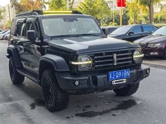 Tank 300 Off-Road Edition 2.0T Conqueror - ფოტო 5