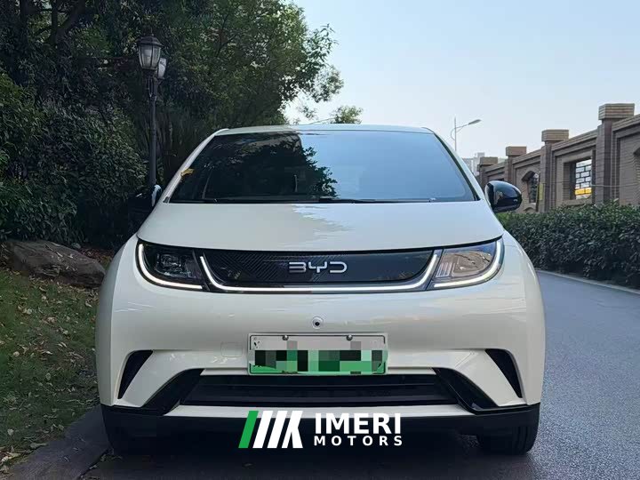 BYD Dolphin 2025 420km Freedom Edition - ავტომობილი ჩინეთიდან