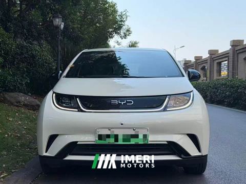 2024 BYD Dolphin 420km Freedom Edition