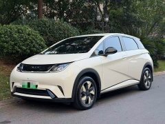 BYD Dolphin 2025 420km Freedom Edition - ფოტო 2