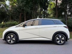 BYD Dolphin 2025 420km Freedom Edition - ფოტო 6