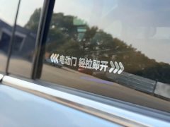 Honda Elysion 2.0L e:HEV Elite - ფოტო 16