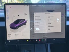 Tesla Model 3 2023 Rear-Wheel Drive - ფოტო 13