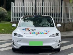 Tesla Model 3 High Performance All-Wheel Drive - ფოტო 2