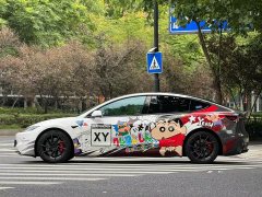Tesla Model 3 High Performance All-Wheel Drive - ფოტო 3