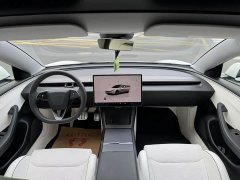 Tesla Model 3 High Performance All-Wheel Drive - ფოტო 5