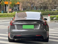 Tesla Model 3 High Performance All-Wheel Drive - ფოტო 8