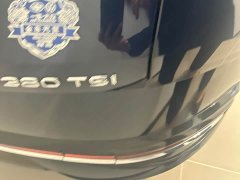 Volkswagen Magotan 380TSI DSG Premium Edition - ფოტო 14
