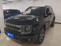 Great Wall Dachshund 2024 1.5T DCT Border Collie Edition - ფოტო 1