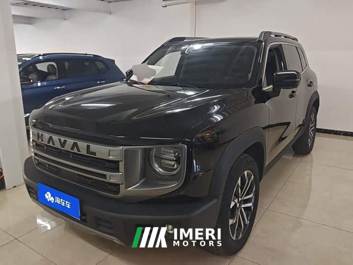 Great Wall Dachshund 1.5T DCT Border Collie Edition