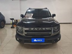 Great Wall Dachshund 2024 1.5T DCT Border Collie Edition - ფოტო 2
