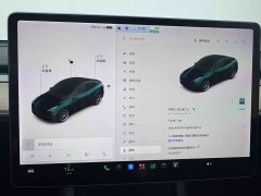 Tesla Model Y Standard Range RWD - ფოტო 10