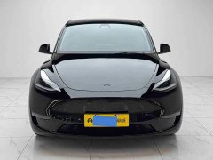 Tesla Model Y Standard Range RWD - ფოტო 2
