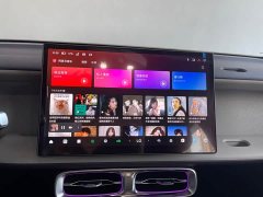 Leapmotor B01 650 Pleasure Edition - ფოტო 16