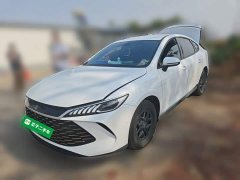 BYD Qin PLUS 2025 DM-i Smart Drive 128KM Entry-Level - ფოტო 1