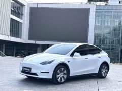 Tesla Model Y Rear-Wheel Drive - ფოტო 1