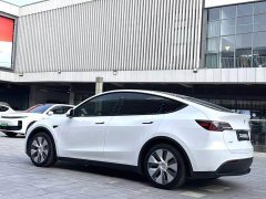Tesla Model Y Rear-Wheel Drive - ფოტო 8