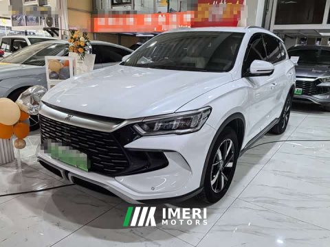 2024 BYD Song Pro New Energy DM-i 71KM Glory Edition Pilot - ავტომობილი ჩინეთიდან