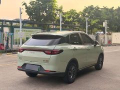 Neta V 2022 Trend 300 Lite Ternary Lithium - ფოტო 7