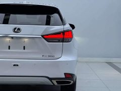 Lexus RX 2020 Facelift 300 FWD Comfort - ფოტო 5