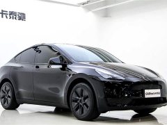 Tesla Model Y 2023 Rear-Wheel Drive - ფოტო 2